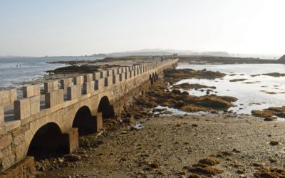 Cambados, el mar… ¡Y la mejor vieira de Galicia!