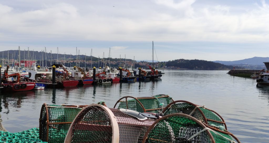 mariscadoras gallegas artes de pesca